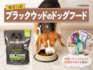 【徹底比較】ブラックウッドのドッグフードのおすすめ人気ランキング【2026年3月】