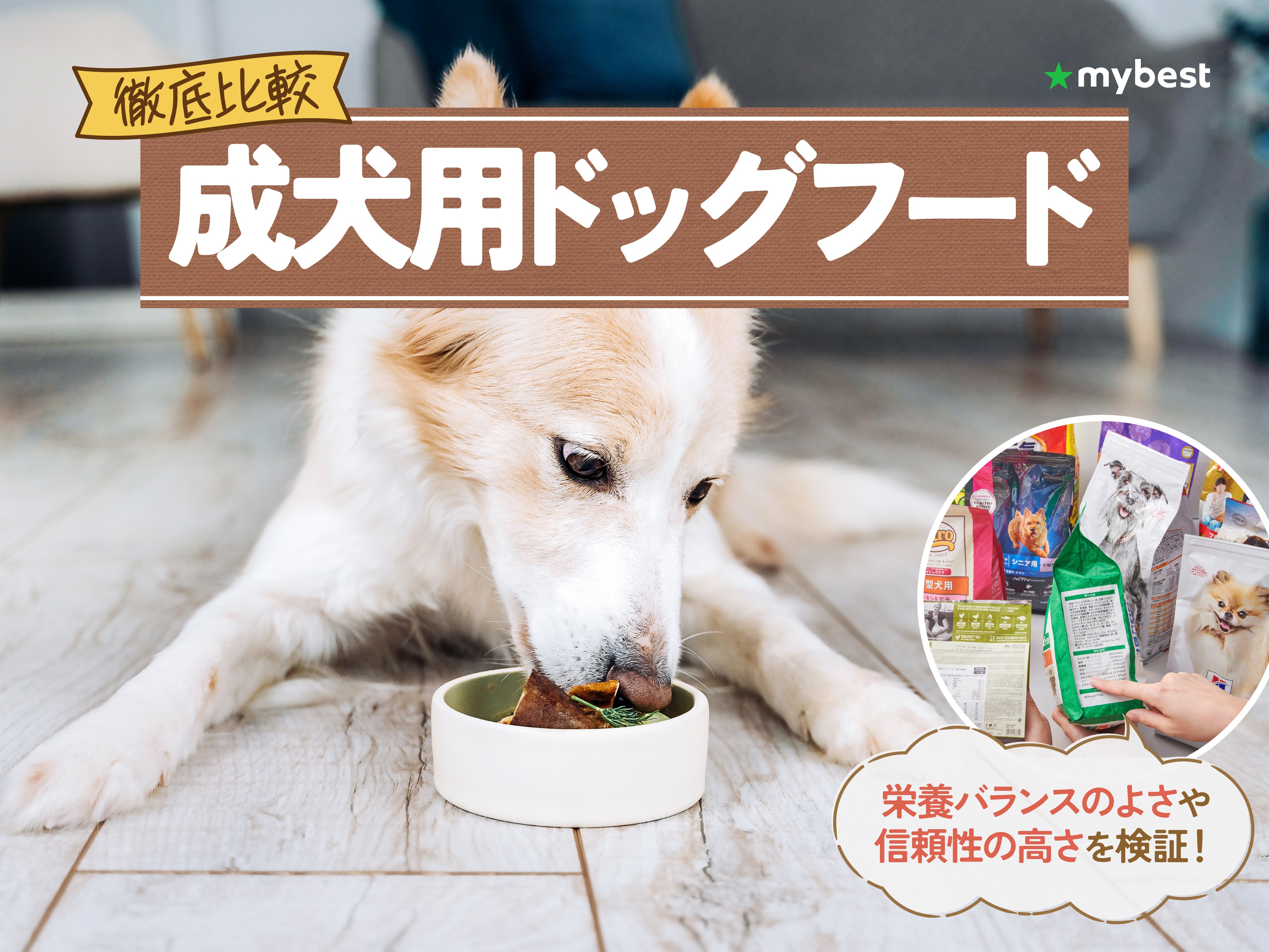 徹底比較】成犬用ドッグフードのおすすめ人気ランキング【2026年3月