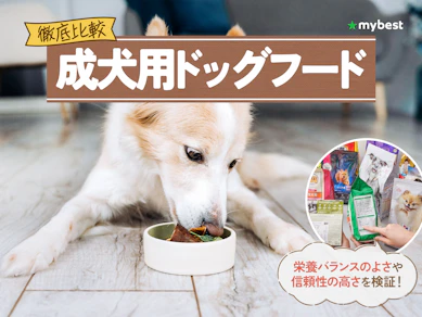 【徹底比較】成犬用ドッグフードのおすすめ人気ランキング【2026年3月】