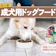 【徹底比較】成犬用ドッグフードのおすすめ人気ランキング【2026年】