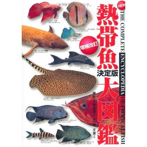 22年 熱帯魚図鑑のおすすめ人気ランキング10選 Mybest