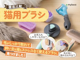【徹底比較】猫用ブラシのおすすめ人気ランキング【長毛種・短毛種におすすめなのはどれ?2026年6月】