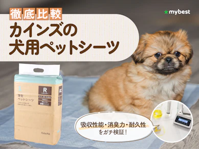 【徹底比較】カインズの犬用ペットシーツのおすすめ人気ランキング【2026年3月】