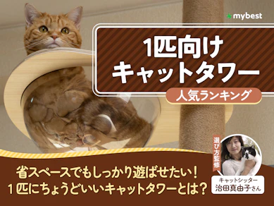 1匹向けキャットタワーのおすすめ人気ランキング【2026年7月】