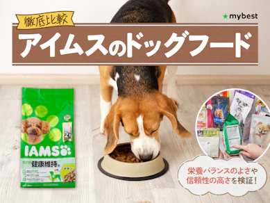 【徹底比較】アイムスのドッグフードのおすすめ人気ランキング【2026年3月】
