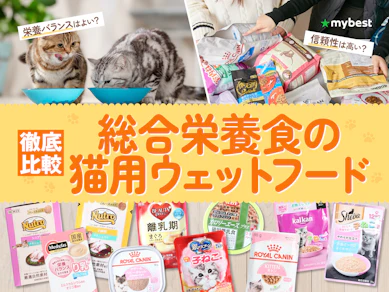【徹底比較】総合栄養食の猫用ウェットフードのおすすめ人気ランキング【2026年3月】