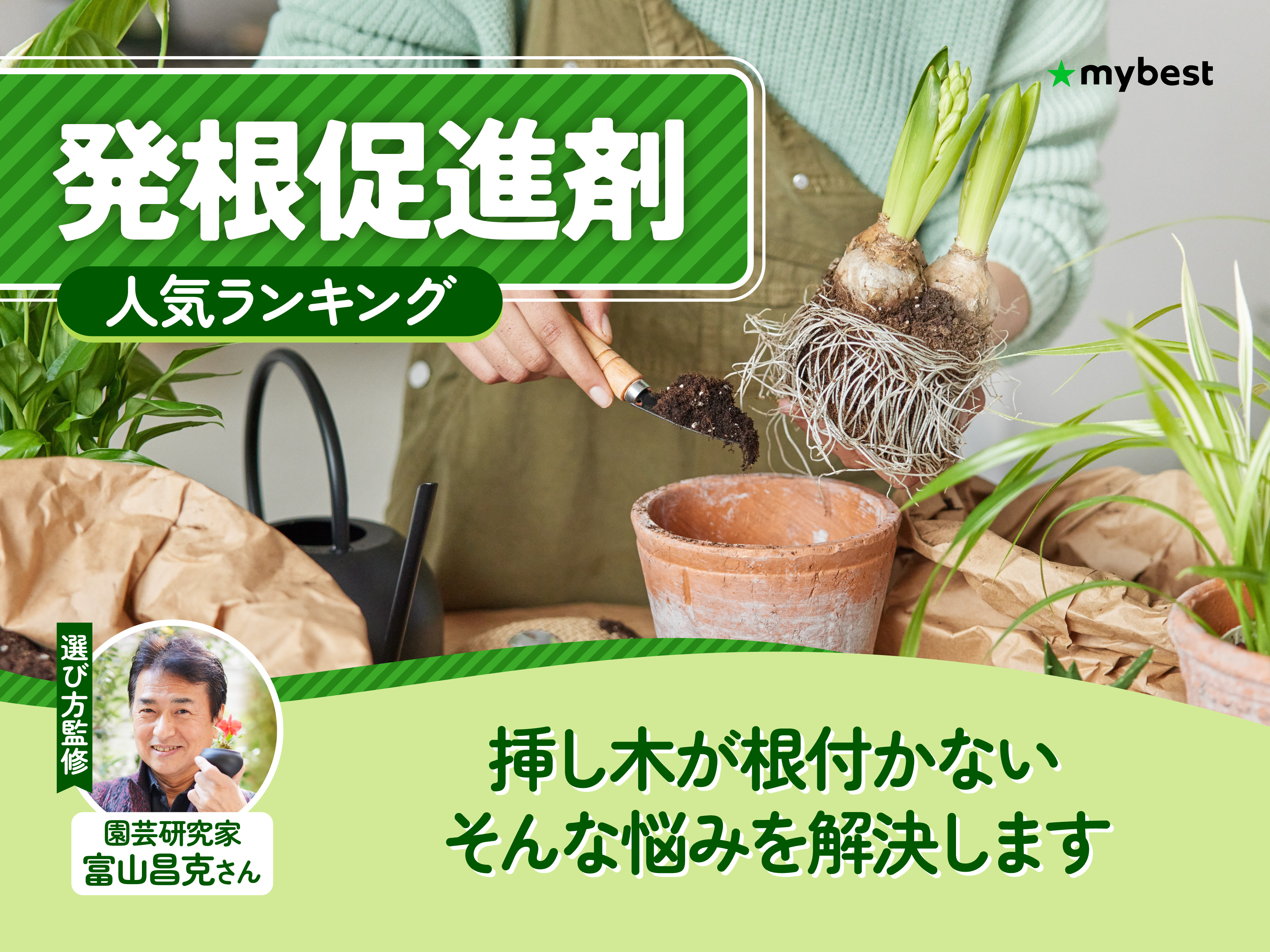 発根促進剤のおすすめ人気ランキング【2026年9月】 | マイベスト