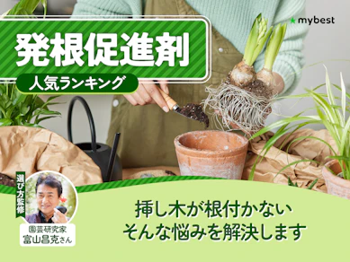 発根促進剤のおすすめ人気ランキング【2026年9月】