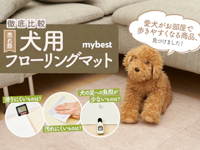 【徹底比較】犬用フローリングマットのおすすめ人気ランキング【滑り止めに!2025年】