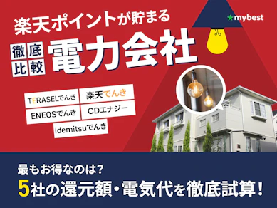 【徹底比較】楽天ポイントが貯まる電力会社のおすすめ人気ランキング【2026年4月】
