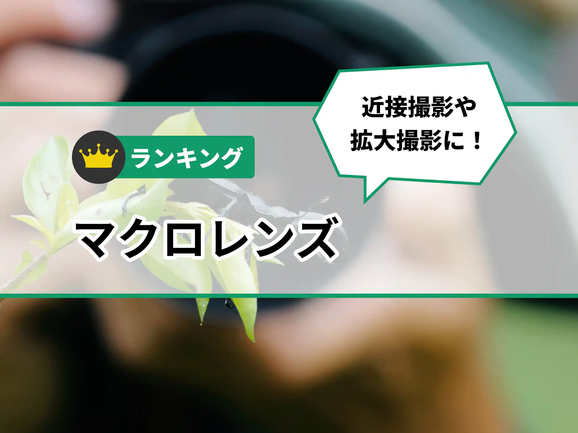 マクロレンズのおすすめ人気ランキング【2025年】 | マイベスト マクロレンズのおすすめ人気ランキング【2025年】 | マイベスト