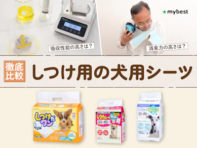 【徹底比較】しつけ用の犬用シーツのおすすめ人気ランキング【2026年3月】
