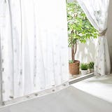 防音レースカーテンのおすすめ人気ランキング【2025年12月】 | マイベスト