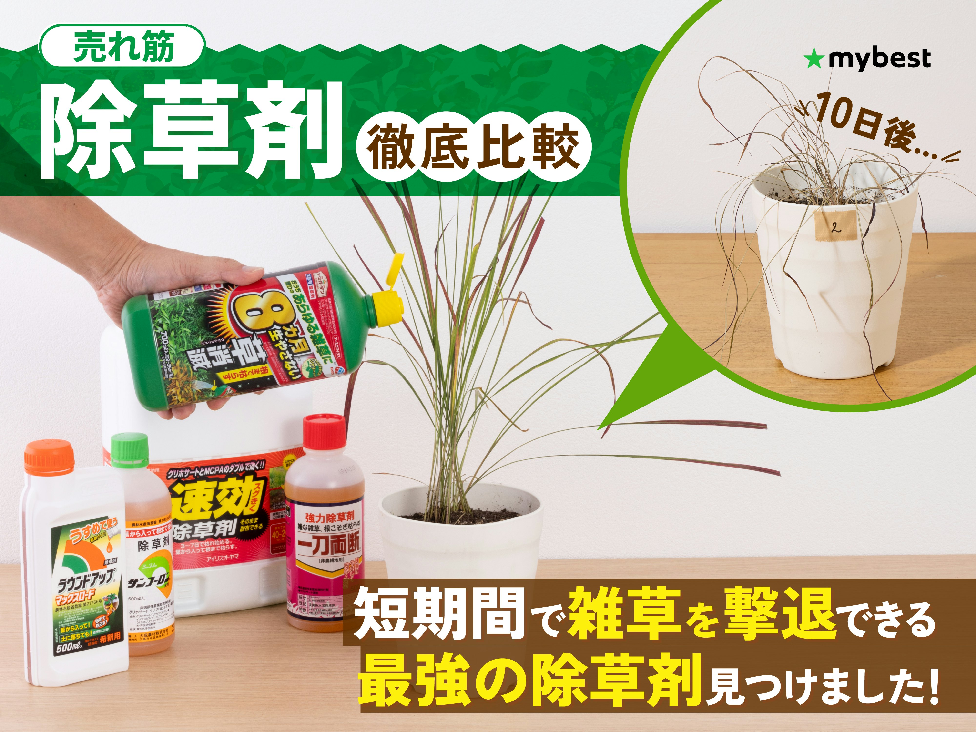 【徹底比較】除草剤のおすすめ人気ランキング