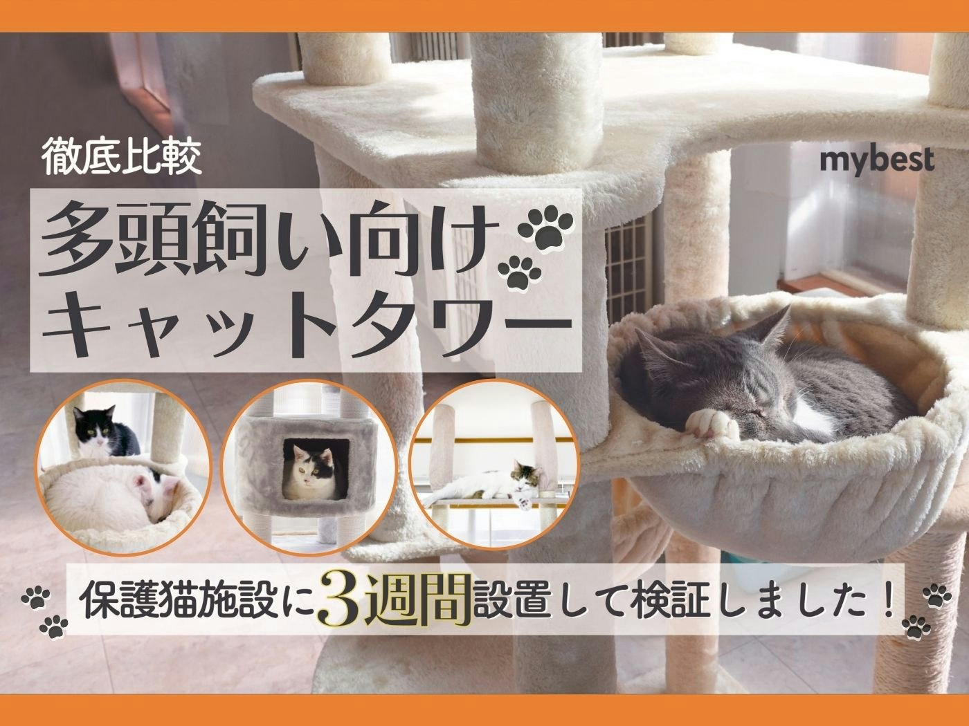 【徹底比較】多頭飼い向けのキャットタワーのおすすめ人気ランキング