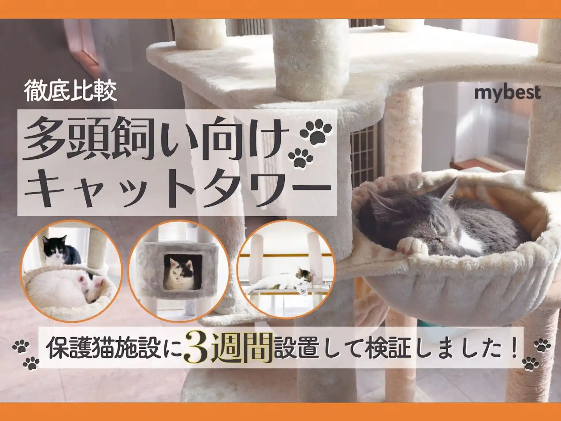 オシャレで2m超のキャットタワー、多頭飼いに最適 徹底比較 オシャレで2m超のキャットタワー、多頭飼いに最適 徹底比較