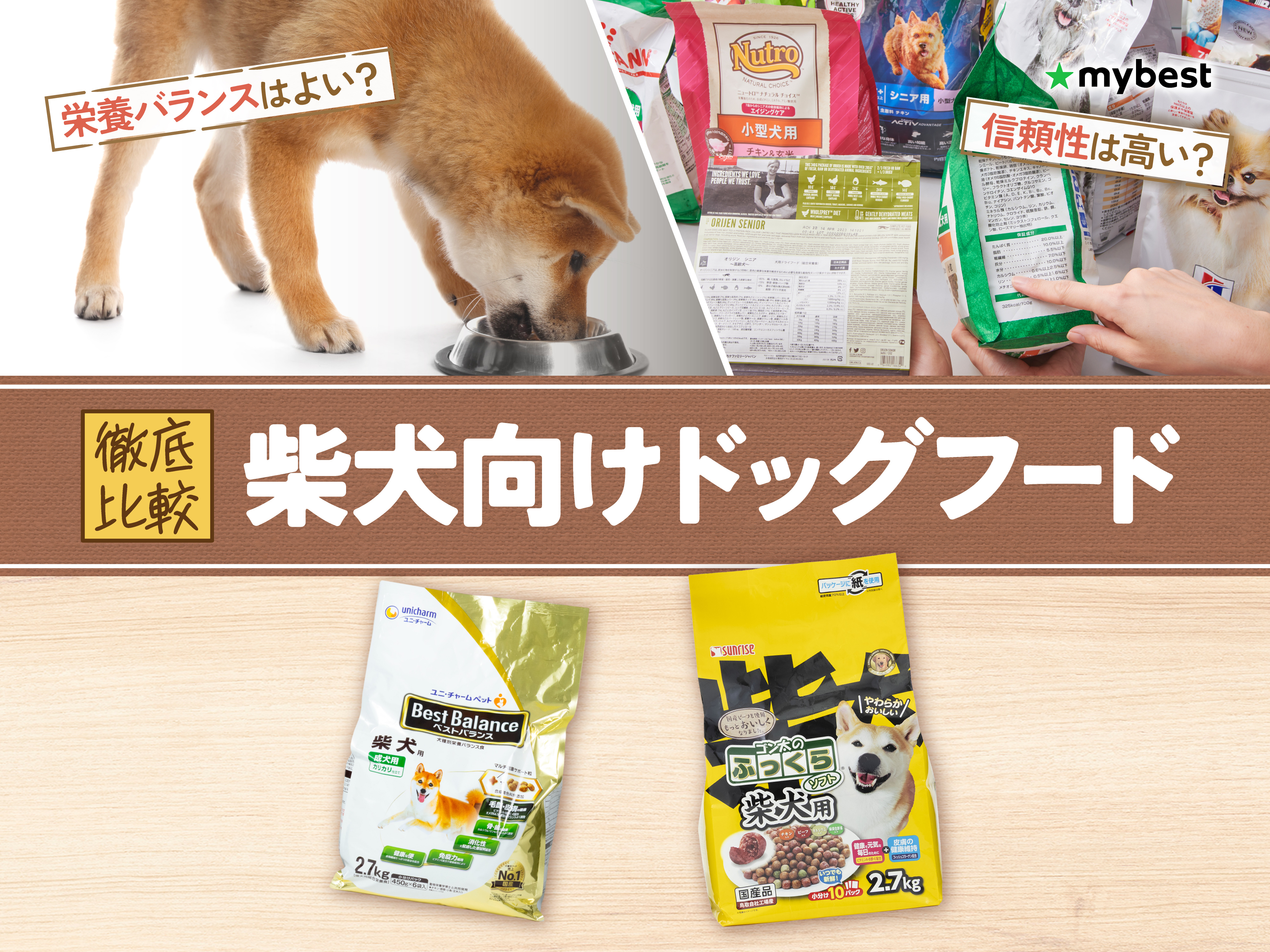 徹底比較】柴犬向けドッグフードのおすすめ人気ランキング【2026年3月