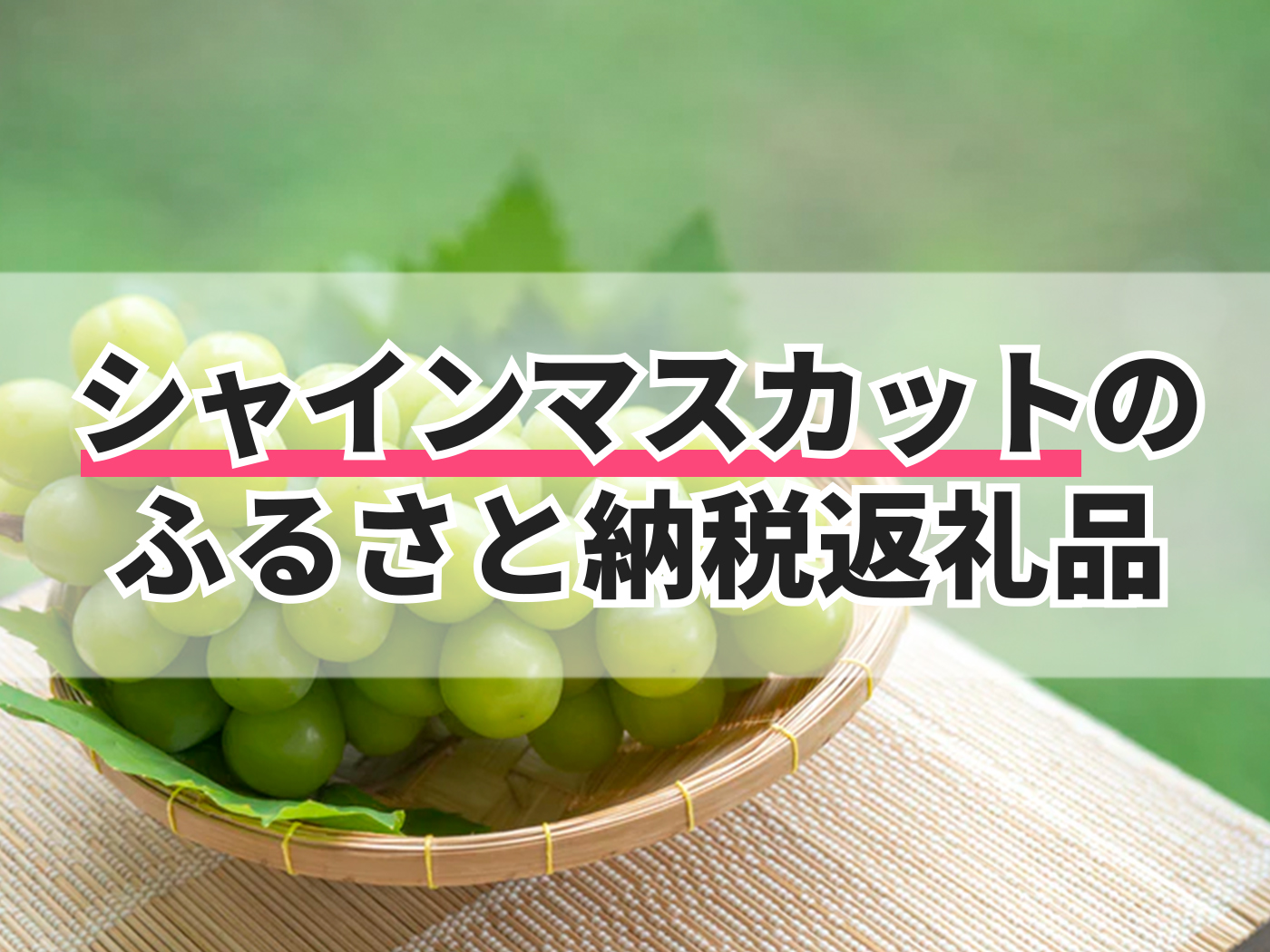 シャインマスカットのふるさと納税返礼品のおすすめ人気ランキング【2025年】 | マイベスト