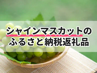 シャインマスカットのふるさと納税返礼品のおすすめ人気ランキング【2025年】