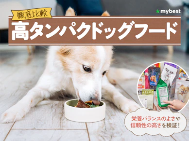 【徹底比較】高タンパクドッグフードのおすすめ人気ランキング【2026年3月】