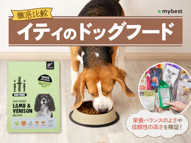 【徹底比較】イティのドッグフードのおすすめ人気ランキング【2026年3月】