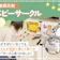 【徹底比較】ベビーサークルのおすすめ人気ランキング【折りたたみも!2026年7月】