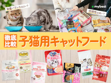 【徹底比較】子猫用キャットフードのおすすめ人気ランキング【2026年3月】