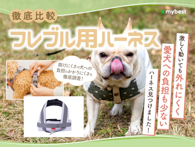 【徹底比較】フレブル用ハーネスのおすすめ人気ランキング【2026年3月】