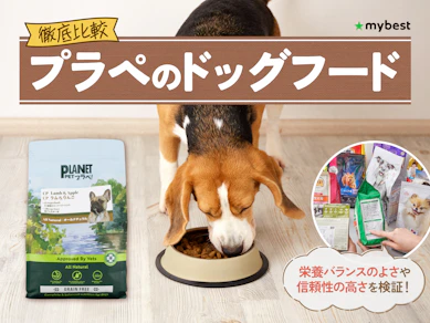 【徹底比較】プラペのドッグフードのおすすめ人気ランキング【2026年3月】
