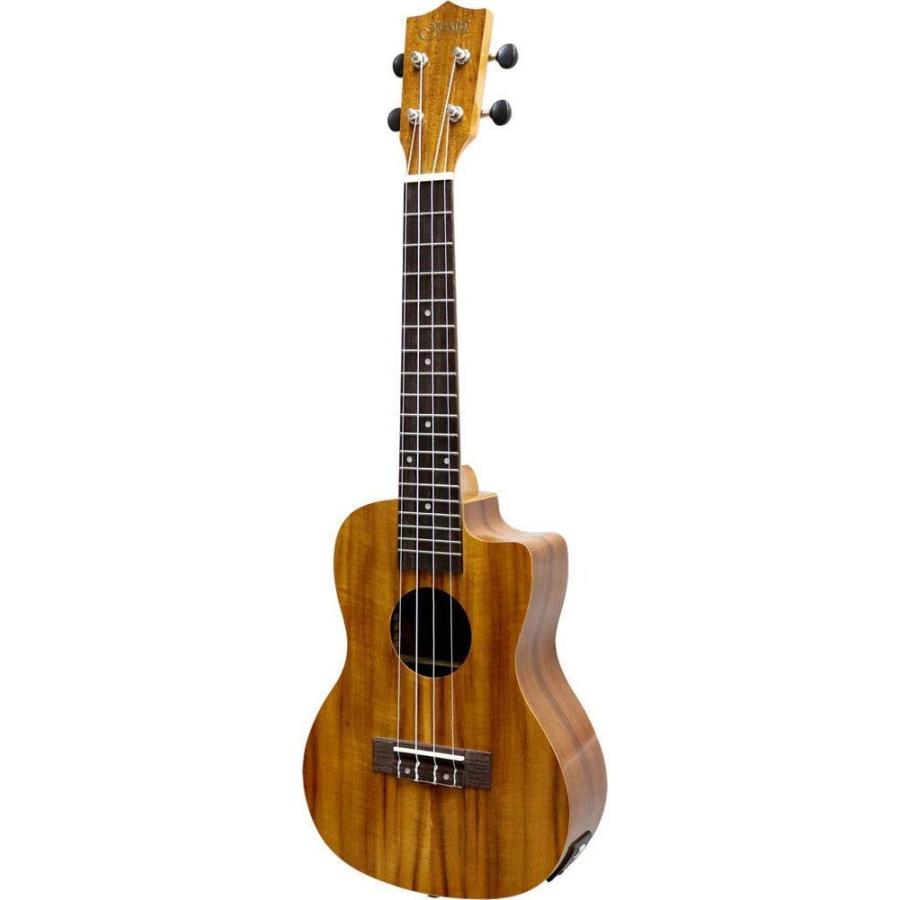 高品質薄型室内練習用にも最適アコースティックギター - 楽器、器材