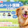 犬のペット保険のおすすめ人気ランキング【どこがいい?徹底比較】