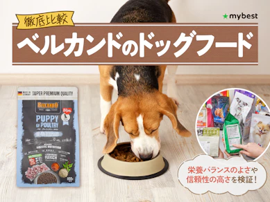 【徹底比較】ベルカンドのドッグフードのおすすめ人気ランキング【2026年3月】