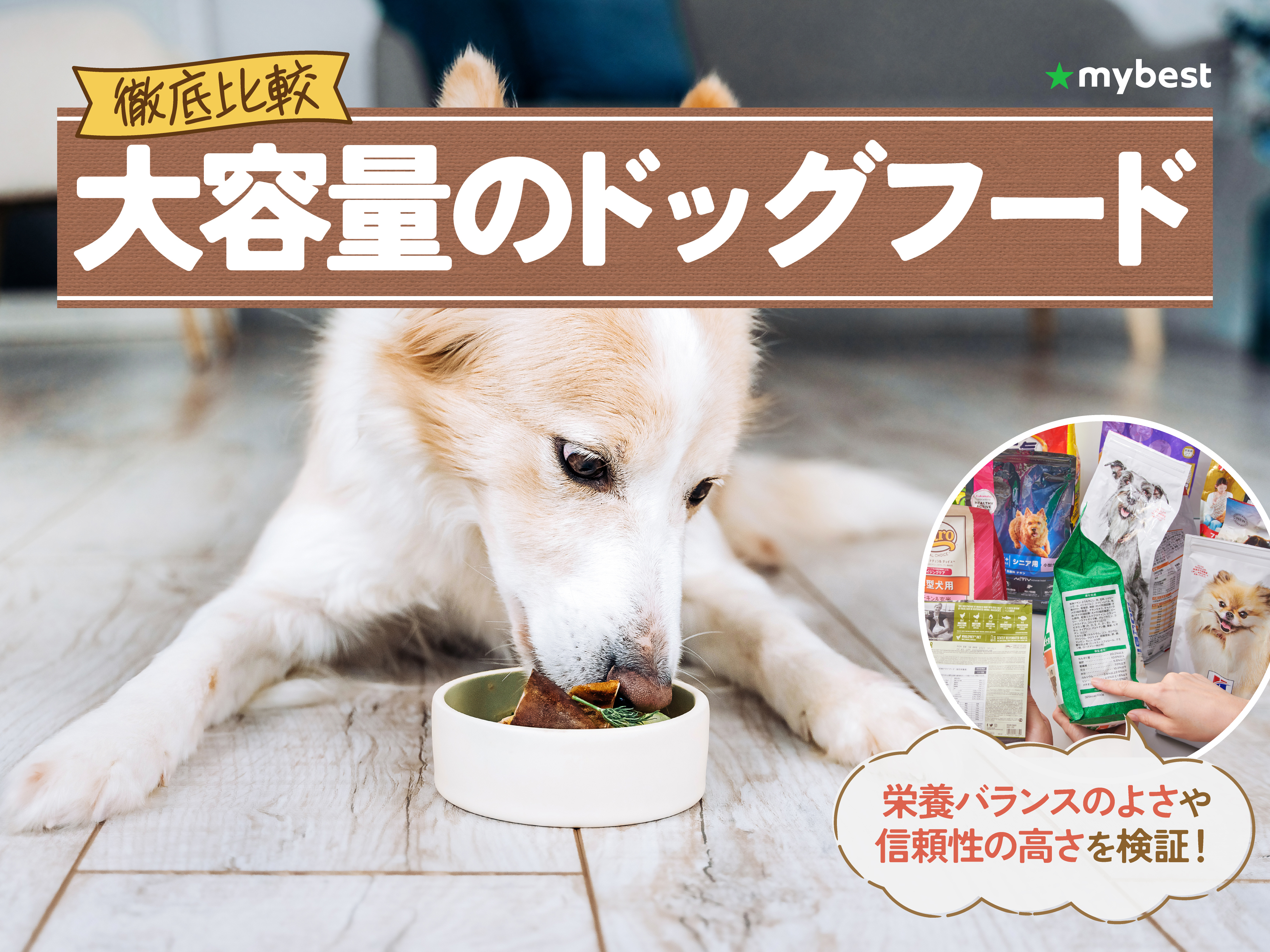 1st Choice 成犬用 ドライフード 18kg ファーストチョイス ChoiceS 成