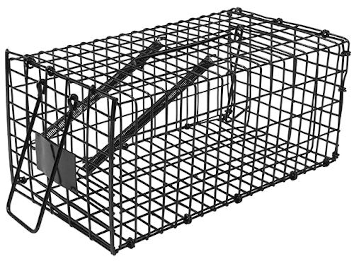 ネズミ捕獲器のおすすめ人気ランキング【2026年6月】 | マイベスト ネズミ捕獲器のおすすめ人気ランキング【2026年6月】 | マイベスト