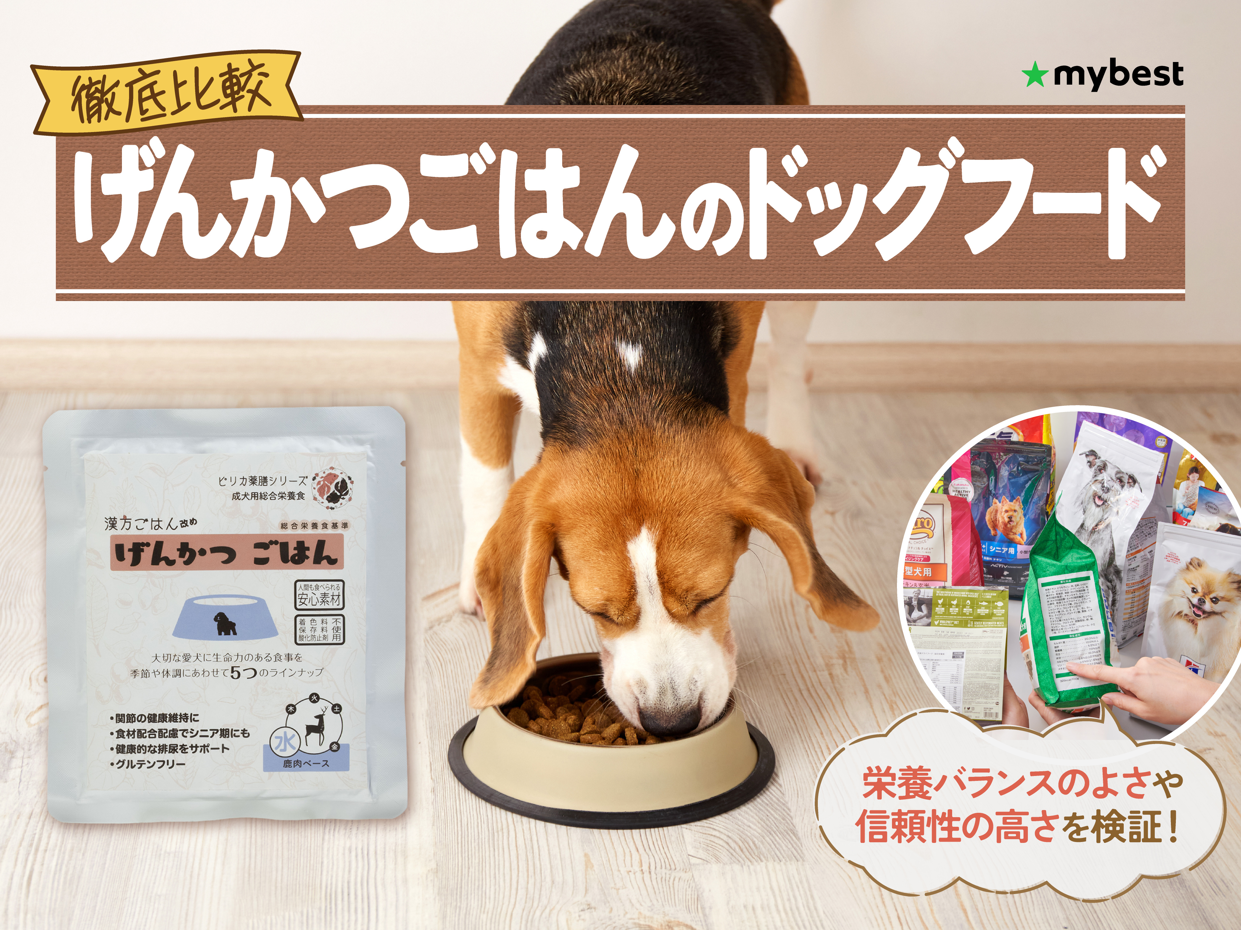 徹底比較】げんかつごはんのドッグフードのおすすめ人気ランキング 
