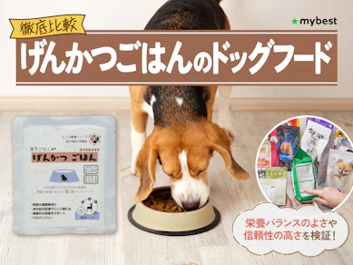 【徹底比較】げんかつごはんのドッグフードのおすすめ人気ランキング【2026年3月】
