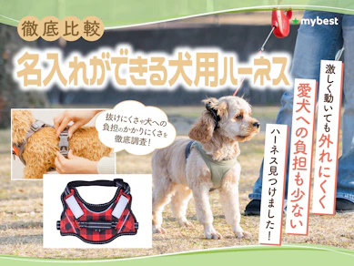 【徹底比較】名入れができる犬用ハーネスのおすすめ人気ランキング【2026年3月】