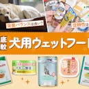 【徹底比較】犬用ウェットフードのおすすめ人気ランキング【2026年9月】