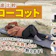 【徹底比較】ローコットのおすすめ人気ランキング【2026年】