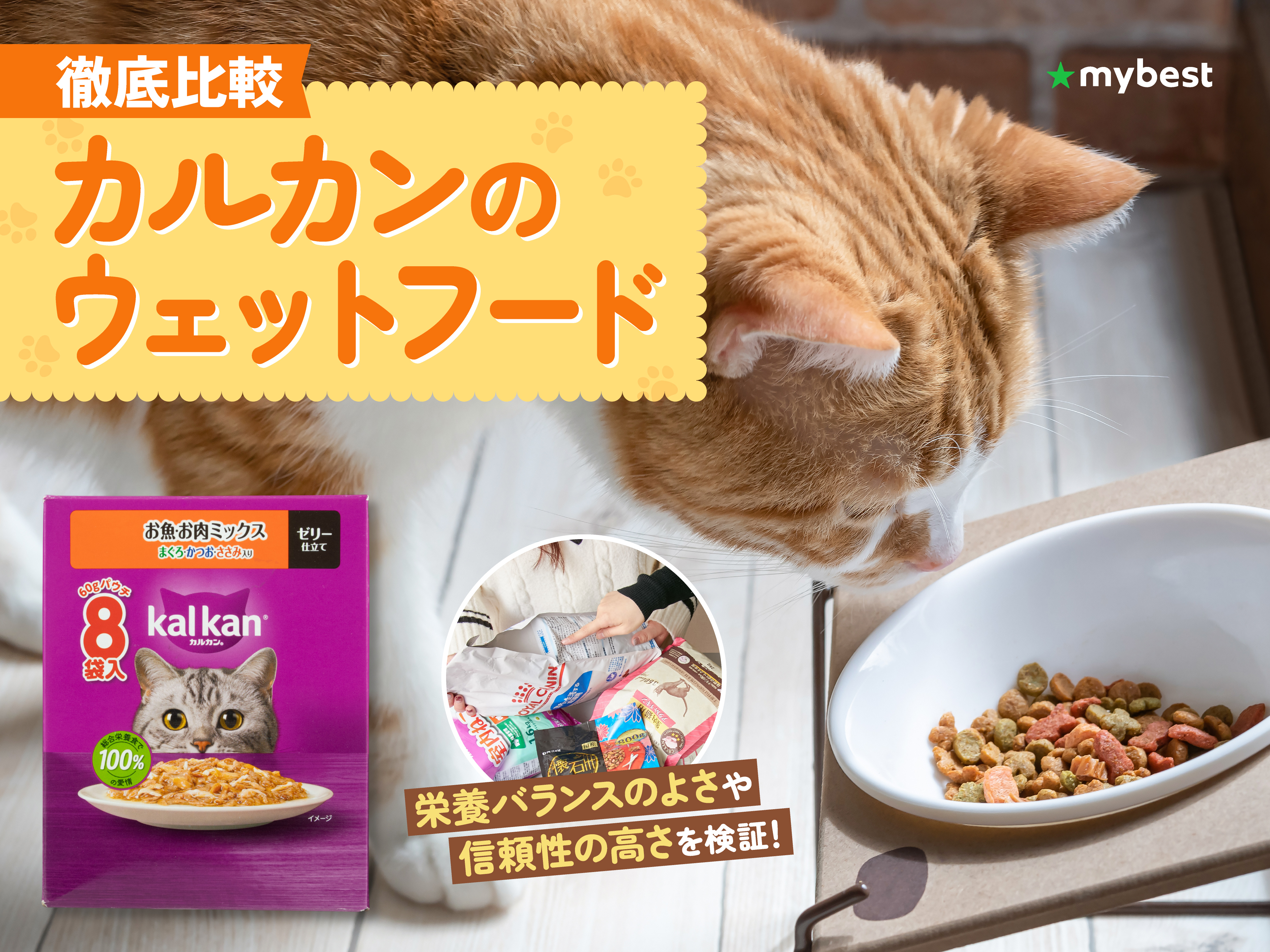 愛猫の腎・泌尿器の健康サポートに】neco-ri（ねこり）を徹底検証&取材
