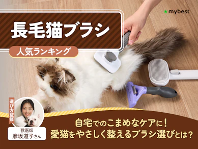 長毛猫ブラシのおすすめ人気ランキング【2026年8月】