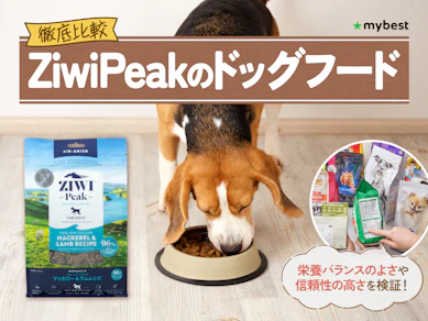 【徹底比較】ZiwiPeakのドッグフードのおすすめ人気ランキング【2026年3月】