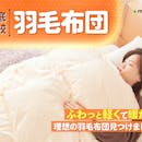 【徹底比較】羽毛布団のおすすめ人気ランキング【シングルサイズの一人用からダブルサイズ以上の家族向けまで!】