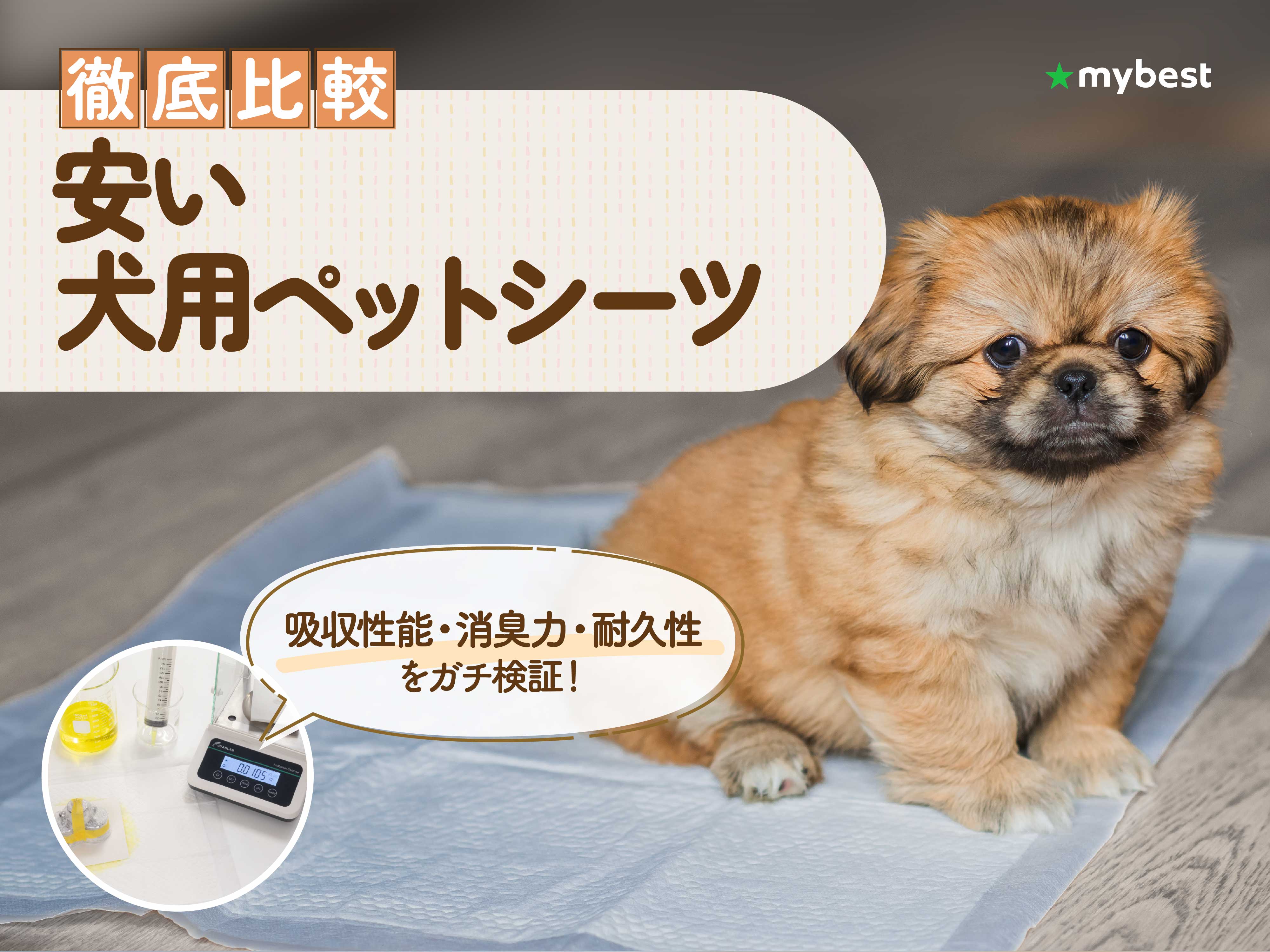 徹底比較】安い犬用ペットシーツのおすすめ人気ランキング【2026年9月