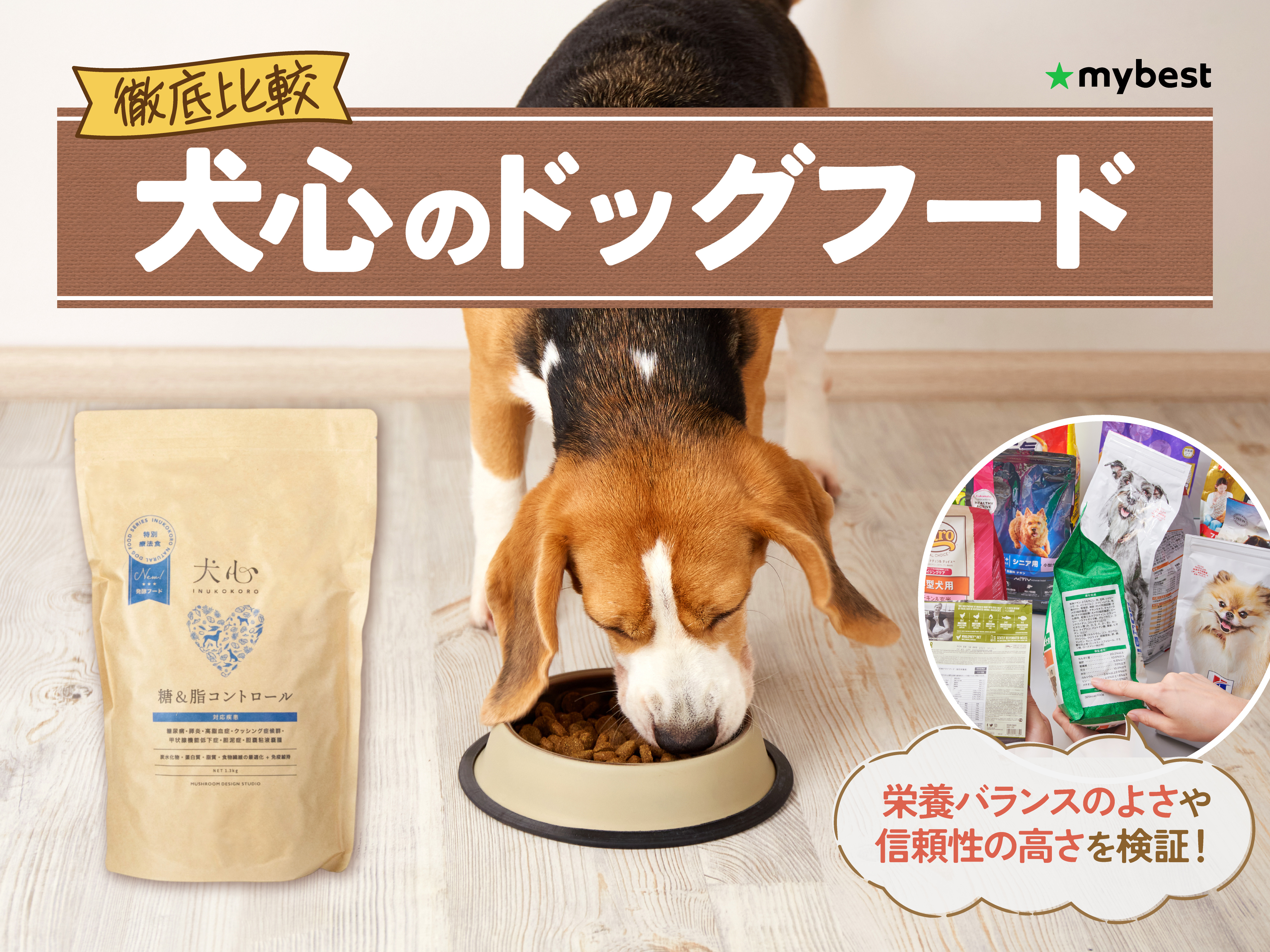 徹底比較】犬心のドッグフードのおすすめ人気ランキング【2026年3月