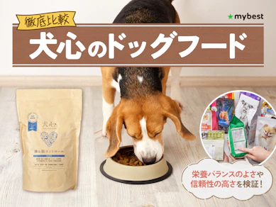 【徹底比較】犬心のドッグフードのおすすめ人気ランキング【2026年3月】