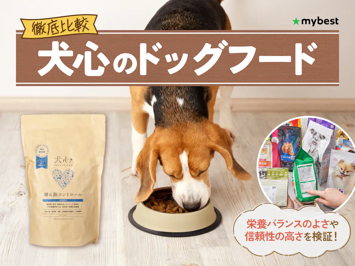 徹底比較】犬心のドッグフードのおすすめ人気ランキング【2026年3月 徹底比較】犬心のドッグフードのおすすめ人気ランキング【2026年3月