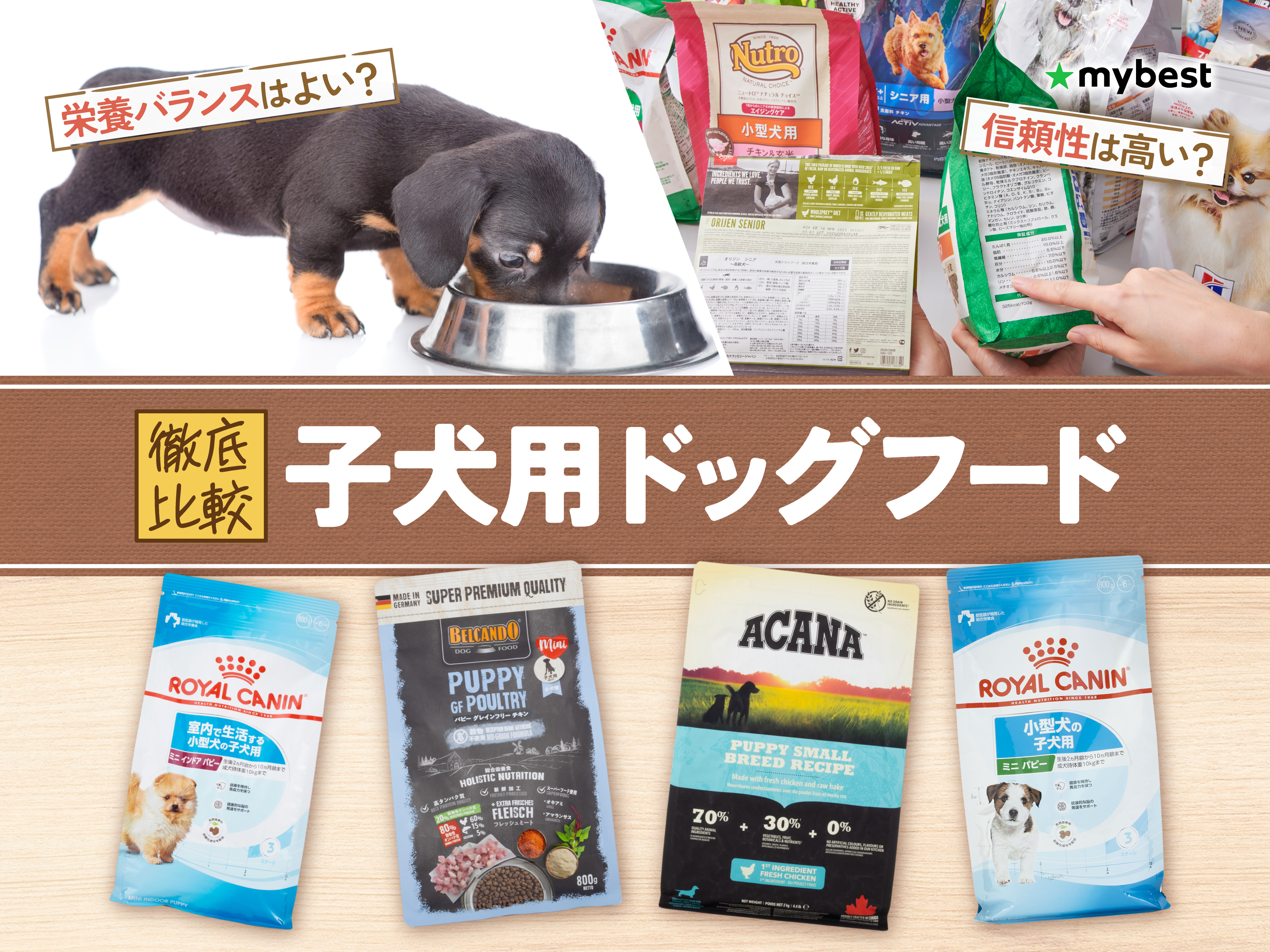 徹底比較】子犬用ドッグフードのおすすめ人気ランキング【2026年3月