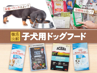 【徹底比較】子犬用ドッグフードのおすすめ人気ランキング【2026年3月】