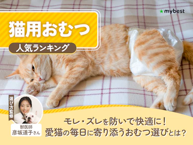猫用おむつのおすすめ人気ランキング【2026年8月】